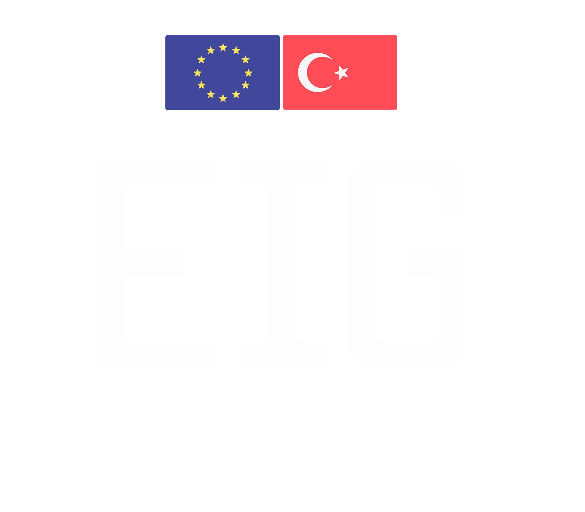 European Integration Group